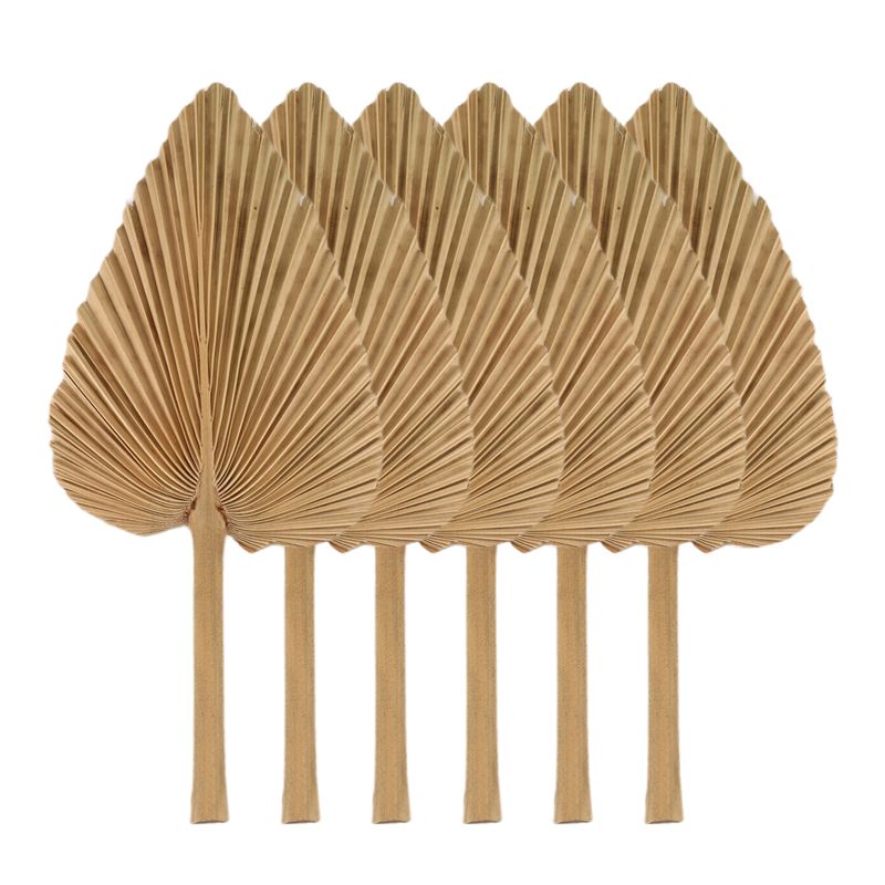 Palm Leaf Dried - ใบปาล์มแห้ง AT84-6PCS ใบปาล์มธรรมชาติแบบแห้ง พัดใบปาล์มขนาดใหญ่ สำหรับตกแต่งงานแต่งงานสไตล์โบโฮ ของตกแต่งใบปาล์มเขตร้อน