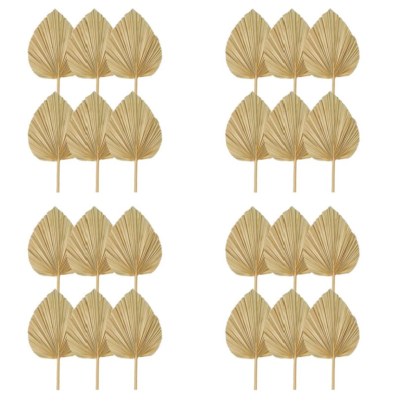Palm Leaf Dried - 【คริสต์มาส】ใบปาล์มแห้ง 24 ชิ้น พัดปาล์มแห้งธรรมชาติ, ใบปาล์มขนาดใหญ่สำหรับตกแต่งงานแต่งงานสไตล์โบโฮ, ใบปาล์มเขตร้อน