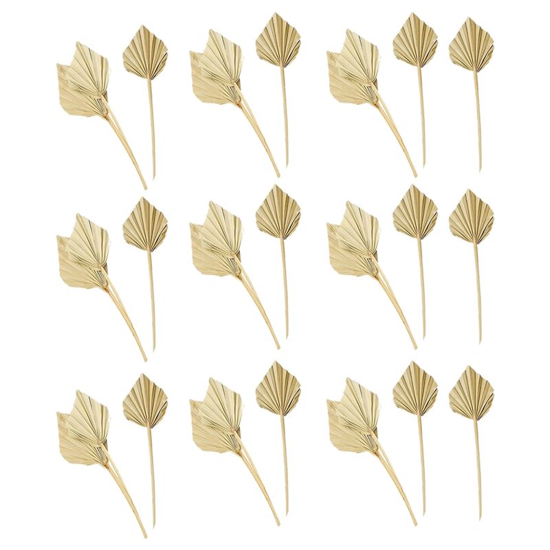 Palm Leaf Dried - A36T-30 ชิ้น ใบปาล์มแห้งสไตล์โบโฮ พัดปาล์มแห้งธรรมชาติ ใบปาล์มแห้ง พัดใบปาล์มแห้งพร้อมก้าน