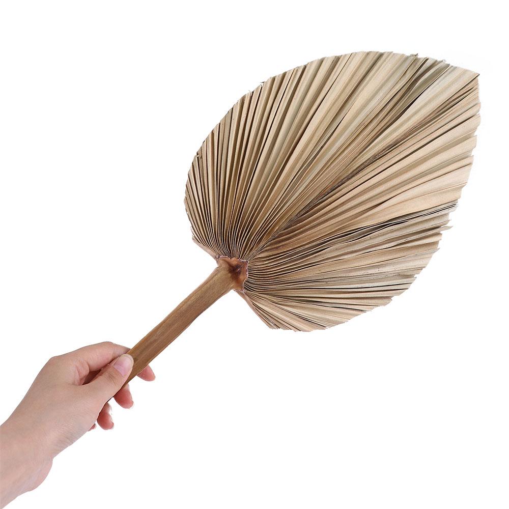 Palm Leaf Dried - ใบปาล์มแห้งตกแต่งสไตล์โบโฮสำหรับงานปาร์ตี้และสำนักงาน