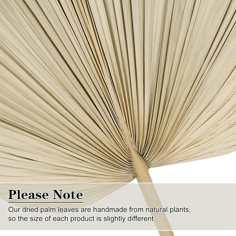 Palm Leaf Dried - ใหม่ 6PCS แห้งใบปาล์มแห้งธรรมชาติพัดลมปาล์ม,ขนาดใหญ่ปาล์มหอกสําหรับ Boho งานแต่งงาน Decor,ใบปาล์มเขตร้อนตกแต่ง