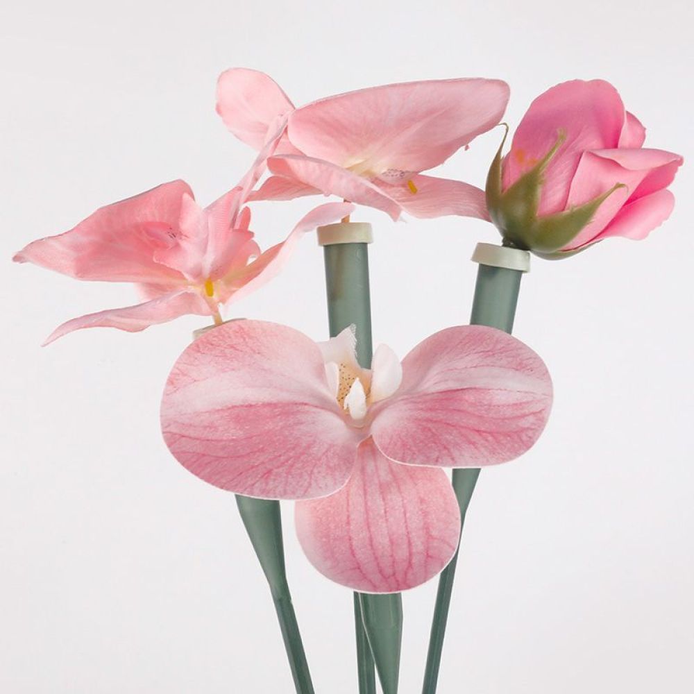 The Florist Supply Shop - หลอดเก็บรักษาดอกไม้แบบใส ขวดพลาสติกใสสำหรับดอกไม้สดที่ตัดใหม่ ใช้สำหรับเก็บน้ำและสารอาหาร สำหรับร้านดอกไม้
