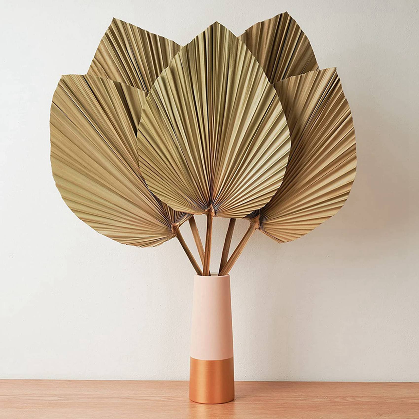Palm Leaf Dried - ใบปาล์มแห้งตกแต่งห้อง 10 ชิ้น - สูง 18