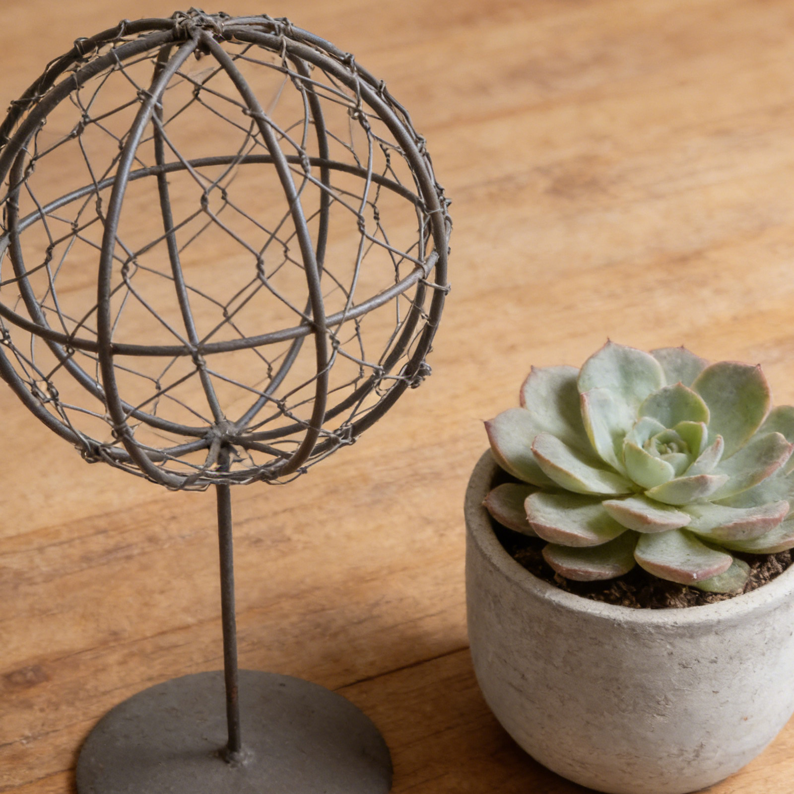 โครงเหล็กทรงกลมสำหรับแขวนต้นไม - Wreath Form Wire บทวิจารณ์และราคา