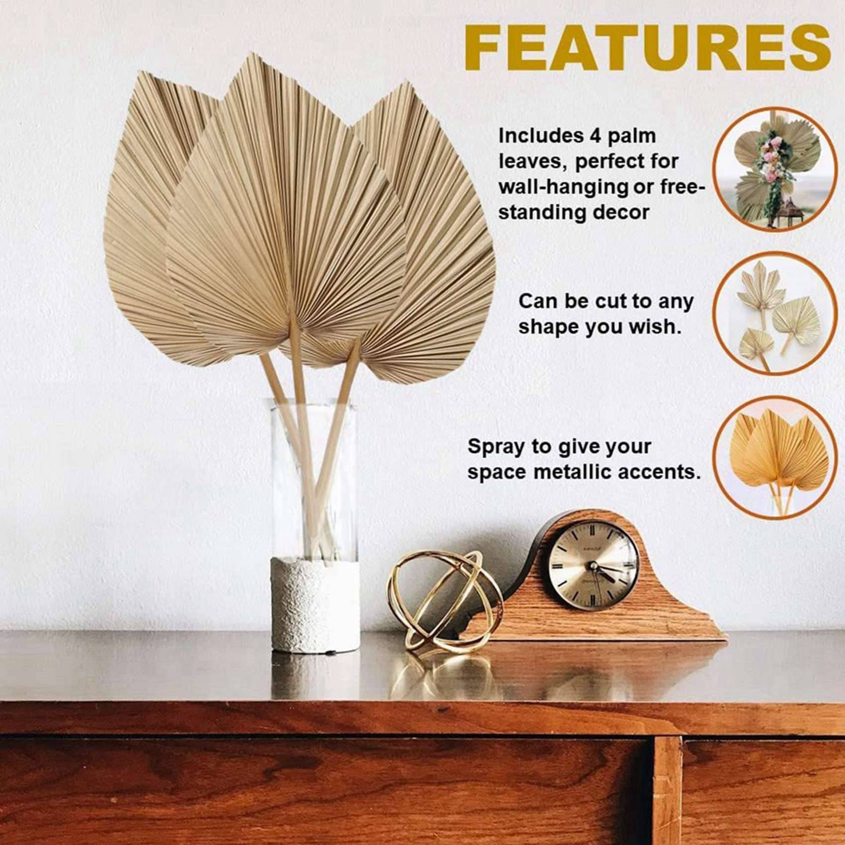 ใบปาล์มแห้งธรรมชาติ 8 ชิ้น เหม - Palm Leaf Dried บทวิจารณ์และราคา