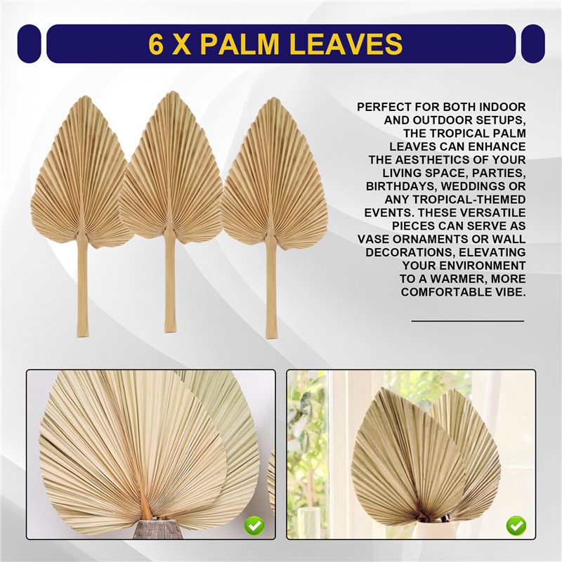ใบปาล์มแห้ง AT84-6PCS ใบปาล์มธ - Palm Leaf Dried บทวิจารณ์และราคา