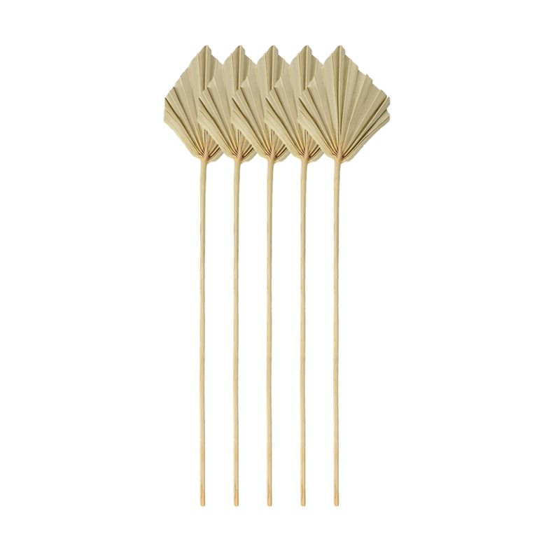 ใบปาล์มแห้ง A67P-Boho ขนาดเล็ก - Palm Leaf Dried บทวิจารณ์และราคา