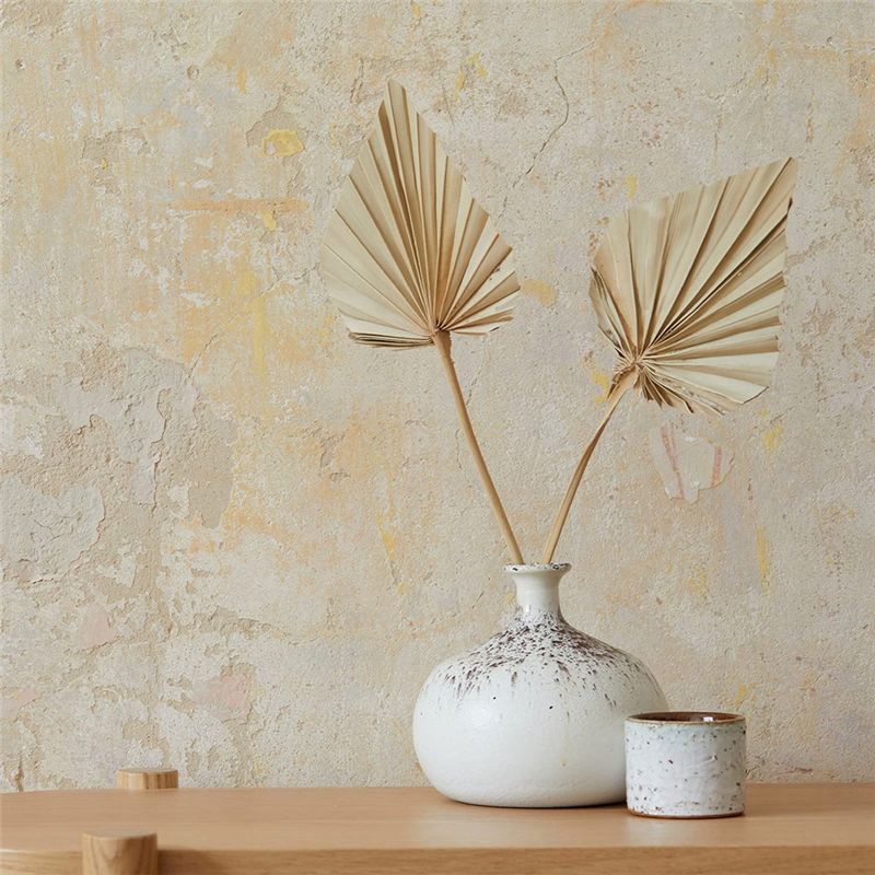 ใบปาล์มแห้ง A67P-Boho ขนาดเล็ก - Palm Leaf Dried บทวิจารณ์และราคา