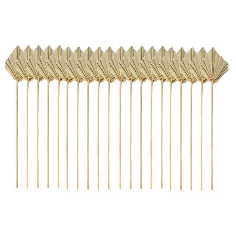 ใบปาล์มแห้ง ABYN-Boho ขนาดเล็ก - Palm Leaf Dried บทวิจารณ์และราคา