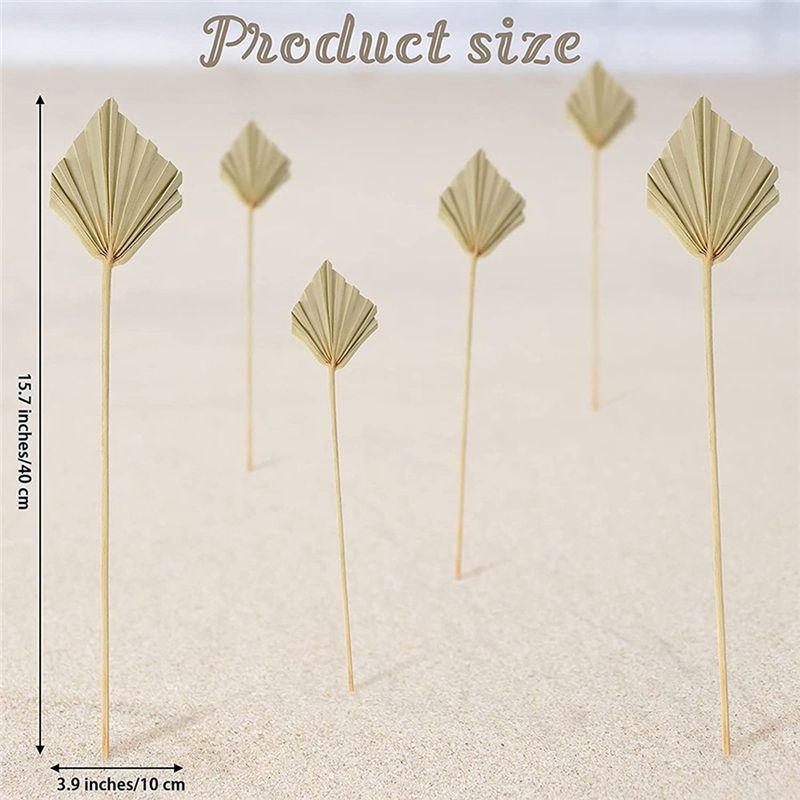 A36T-30 ชิ้น ใบปาล์มแห้งสไตล์โ - Palm Leaf Dried บทวิจารณ์และราคา