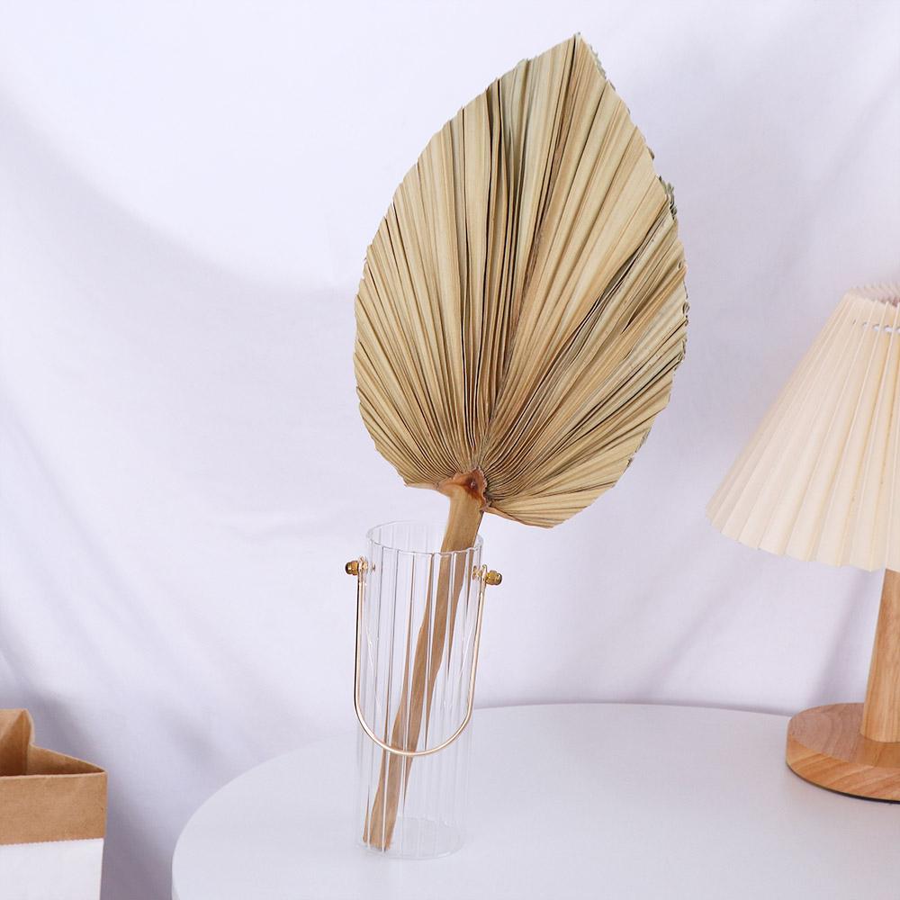 ใบปาล์มแห้งตกแต่งสไตล์โบโฮสำหร - Palm Leaf Dried บทวิจารณ์และราคา