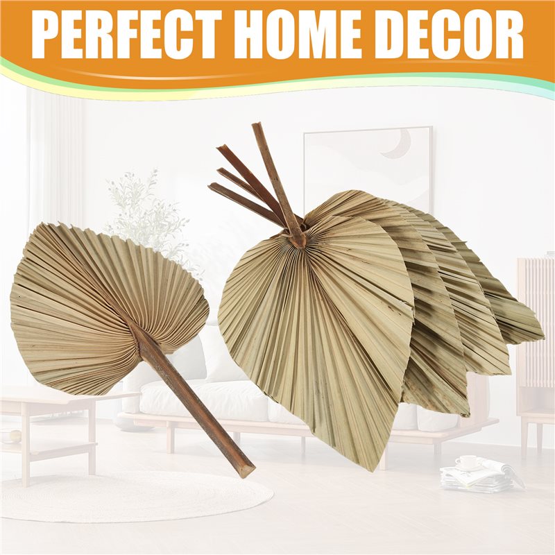 SEWS-5 ชิ้น ใบปาล์มแห้งธรรมชาต - Palm Leaf Dried บทวิจารณ์และราคา